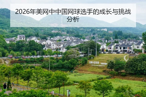 nian-mei-wang-zhong-zhong-guo-wang-qiu-xuan-shou-de-cheng-zhang-yu-tiao-zhan-fen-xi-2-924.jpg