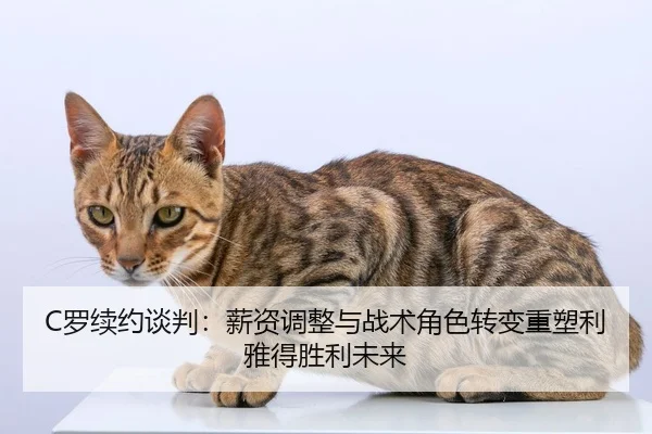 luo-xu-yue-tan-pan-xin-zi-tiao-zheng-yu-zhan-shu-jue-se-zhuan-bian-zhong-su-li-ya-de-sheng-li-wei-lai-3-102.jpg