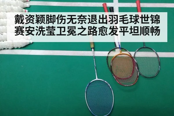badminton match court